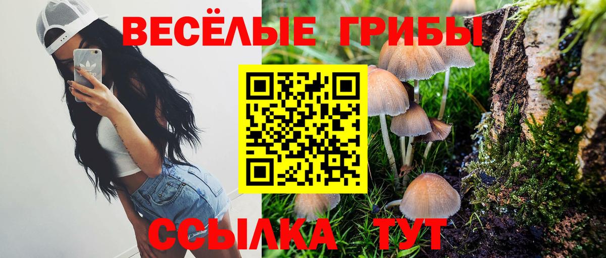 Галлюциногенные грибы прущие грибы Иваново